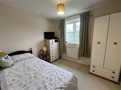 Picture 22